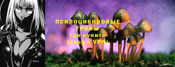 мет Балахна