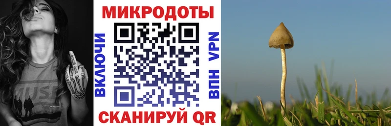 наркота  Коммунар  Псилоцибиновые грибы мухоморы 