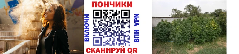 OMG маркетплейс  Коммунар  Шишки марихуана VHQ 